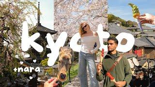 KYOTO VLOG  Philosophers Path Bamboo Forest & Daytrip To Nara