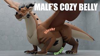 Malfs Cozy Belly