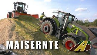 Maishäckseln XXL Maisernte 2023 mit 22 Traktoren 3 Häcksler 3 Radlader Walze Farmer Harvest Press