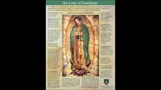 Our Lady of Guadalupe - Michael ONeill The Miracle Hunter 24th May 2022