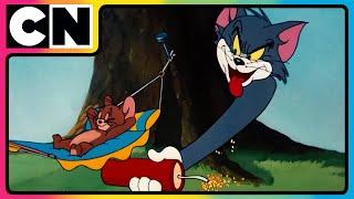 Tom & Jerry  Pranks Galore with Tom & Jerry  Cat and mouse Cartoon  #tomandjerry  @cnindia