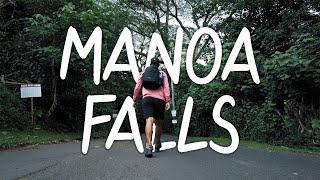 A Review of the Manoa Falls Hiking Trail  O’ahu Hawaii