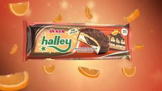 Yeni Halley Çikolatalı Portakallı Pasta Tadında