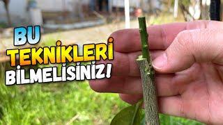 İnsanların Çoğu Bu Teknikleri Bilmiyor #limonaşısı