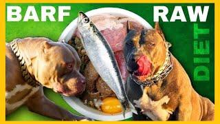 Mastering the Basics of BARF Diet For Your Dog