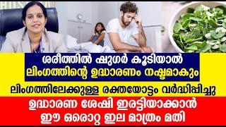 ലിംഗത്തിലേക്കുള്ള രക്തയോട്ടം വർദ്ധിപ്പിച്ചു ഉദ്ധാരണ ശേഷി ഇരട്ടിയാക്കാൻ ഈ ഒരൊറ്റ ഇല മാത്രം മതി