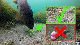 Why you must use pop ups over bottom baits