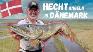 Hechtangeln in Dänemark I Reviere Tackle Köder und Bestimmungen zum Angeln auf Hecht in Dänemark