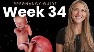34 Weeks Pregnant  Week By Week Pregnancy