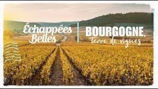 La Bourgogne terre de vignes - Échappées belles