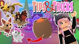 How to Hatch a *LEGENDARY* out of a Cracked Egg  Tips and Tricks Adopt Me #roblox #adoptme