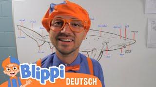 Blippi besucht ein Aquarium Ody Aquarium  Blippi Deutsch -  Abenteuer und Videos für Kinder
