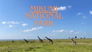 TanzaniaSafari in  Mikumi national park #safari #tanzania #mikumi