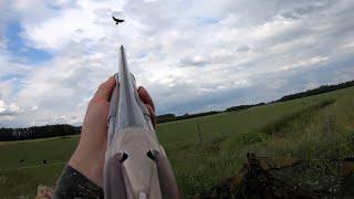 Crow hunting - 18 birds