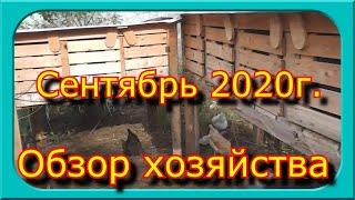 ОБЗОР ХОЗЯЙСТВА сентябрь 2020