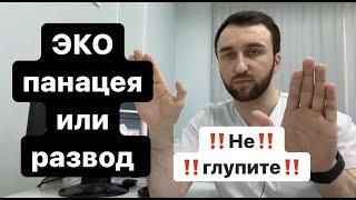 ЭКО - панацея или развод