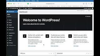 Using Plugins with WordPress 6.3.1