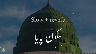 Sakoon Paya  سکون پایا  Slow + Reverb  Best Naat Heart Touching