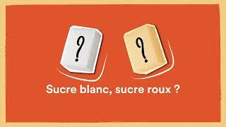 Sucre blanc sucre roux  quelles différences ?