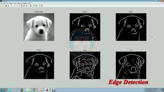 Image Segmentation Using MATLAB