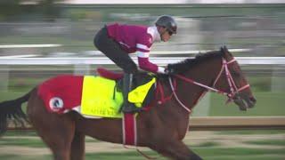 Forever Young and T O Password put in final work at Churchill Downs