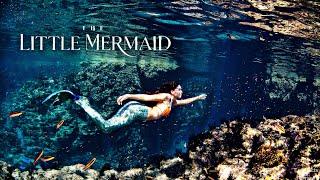 The Little Mermaid Full Movie in English 2023  Halle Bailey  Full Movie Facts and Review