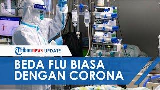 Gejalanya Hampir Mirip Lihat Perbedaan Pilek Biasa Influenza dan Virus Corona yang Darurat di Cina