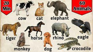 Belajar bahasa Inggris  Nama binatang dalam bahasa Inggris  animals for kids