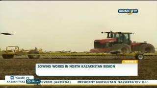 Some 31% of land in the North-Kazakhstan region is cultivated - Kazakh TV