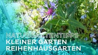 Naturgartentipps für kleine Gärten von Markus Burkhart - Salzburg AG TV