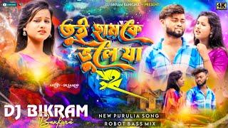 Tui Hamke Bhule Ja Part-2 New Purulia Dj Song 2024  Robot Bass Mix  Dj Bikram Bankura