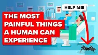 Most Painful Things A Human Can Experience And More Insane Pain Facts Compilation
