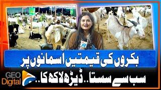 Eid ul Adha 2024 High Prices in the Cattle Market  Goat Price in Karachi  Geo Digital
