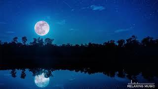 Relaxing Sleep Music Calm Music Sleep Insomnia Deep Sleep Music Meditation Sleep Music 21