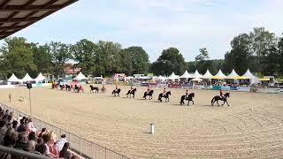 Redefin 2024 - 08.09.2024 - 12 er Quadrille