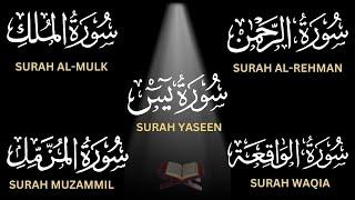 Surah Yaseen  Surah Rahman  Surah Mulk  Surah Waqiah  Surah Muzammil  Most Beautiful Tilawat