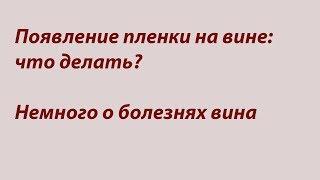 Пленка на вине и немного о других болезнях вина