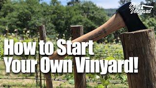 How To Start Your Own Vineyard  Season 1 Episode 1  How You Can Start a Vineyard
