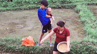 picking pumpkins to sell and traditional manual sowing techniques  Trieu Thi Nhiem