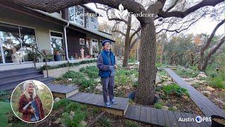 Dry Creek Hillside Design Clay Soil and Shade  Central Texas Gardener