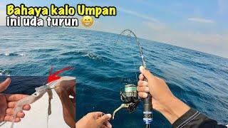 Wajib Coba.. Mancing Dengan Umpan Kepala Cumi Target Ikan Besar.. Squid Head