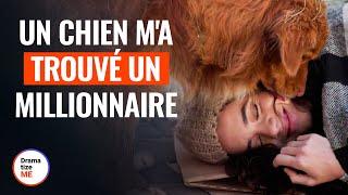 Un Chien MA Trouvé Un Millionnaire  @DramatizeMeFrance