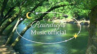 Raindrops That Day   Relaxing Music Official