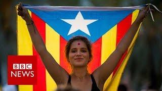 Why some Catalans want independence... and some dont - BBC News