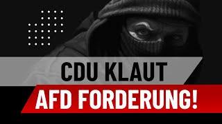 CDU klaut AfD Forderung