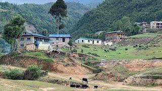 Living with the Poor but Happy People of the World  Natural Beauty of Karnali Nepal  IamSuman