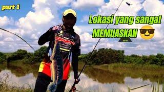 LUAR BIASA jurus nya keluar‼️ #fishing #mancing #ikantomanmonster #ikangabus #casting #mancingmania