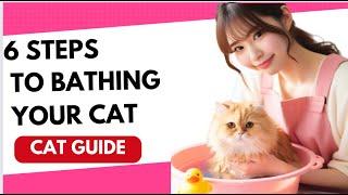 HOW TO BATHE YOUR CAT THAT HATES WATER 6 step tutorial  Secrets