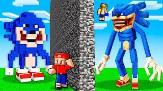 I Cheated With SHIN SONIC In A Minecraft Build Battle