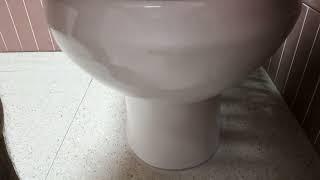 toilet diarrhea fart 